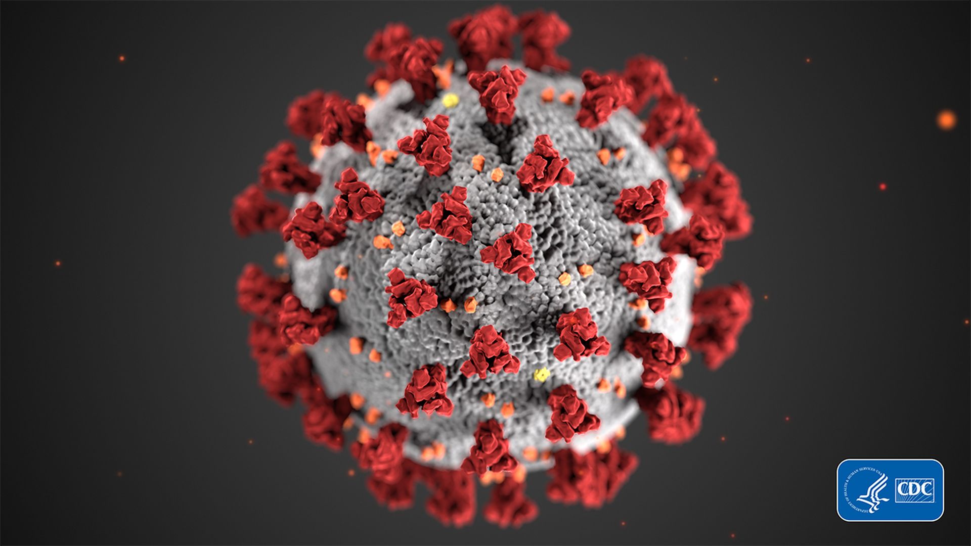coronavirus-header