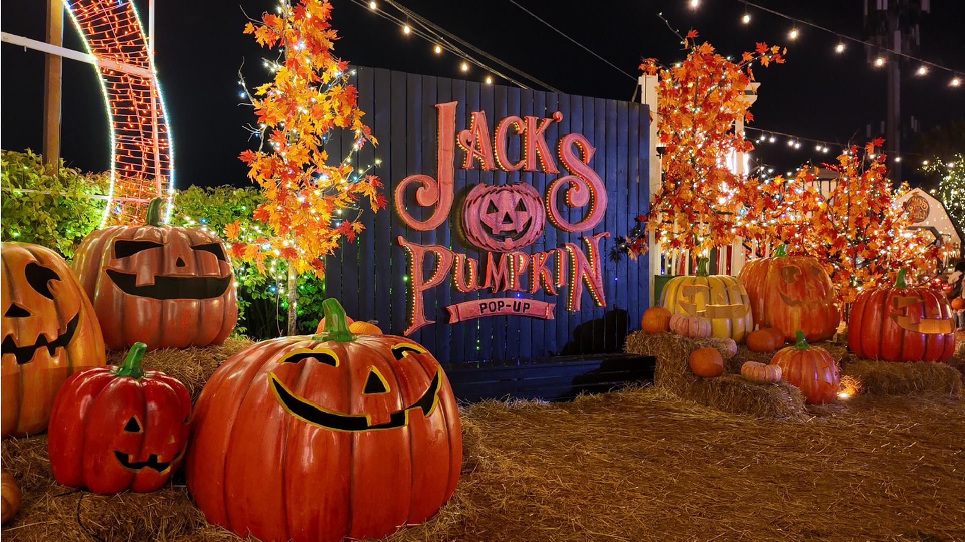 Jack's Pumpkin Pop-Up