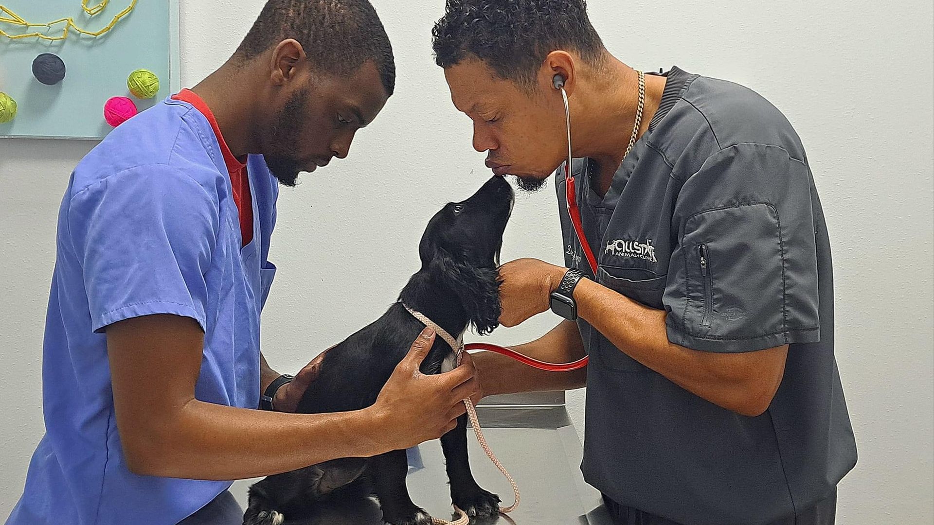Photo shows Dr. Diggs kissing a dog.