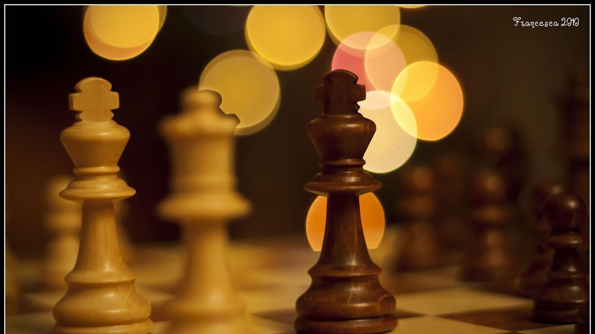 The chess conquered the world - HD wallpaper