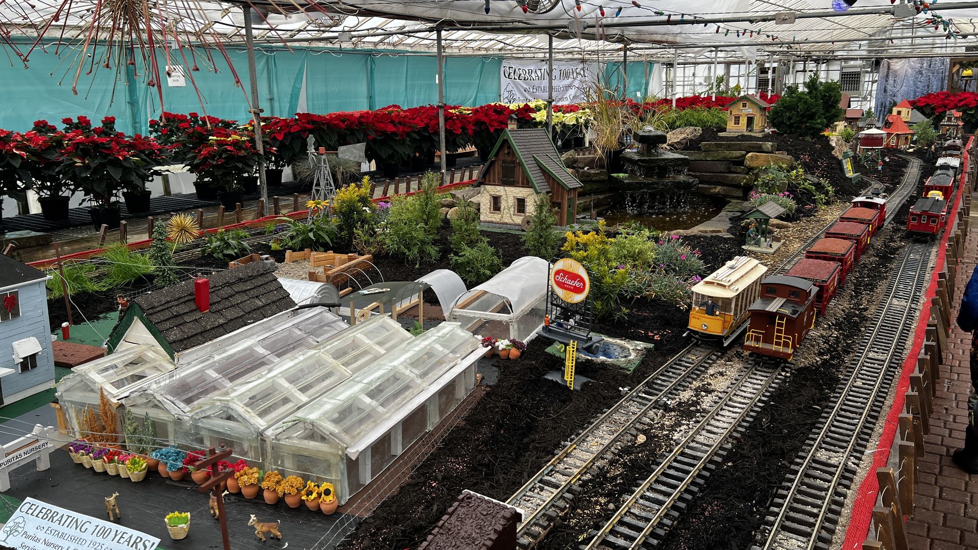 Miniature garden train display with red and yellow train cars on model railroad tracks, surrounded by small buildings, green plants, red poinsettias, and a water fountain under a covered structure.