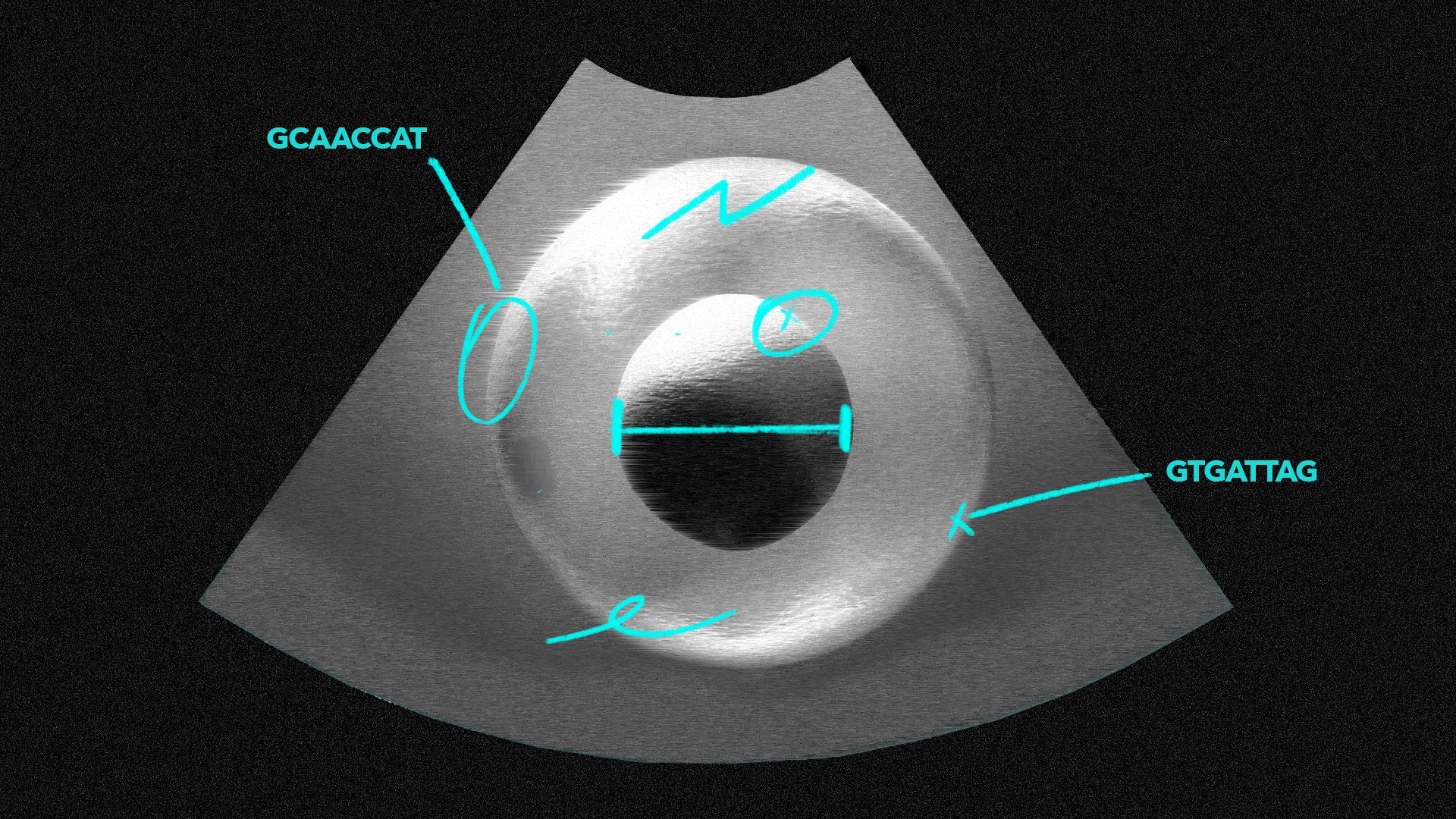 Illustration of a single embryo cell being gene edited
