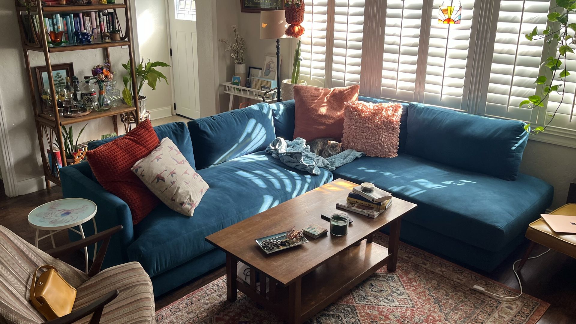 A dark-blue sectional couch with pink and red pillows and a gray cat sleeping on a blue blanket in the corner. A wooden coffee table sits in front of the sofa on an orange and gray boho rug. Behind the couch, a dark wood rattan shelf with books and spirits on the shelves.
