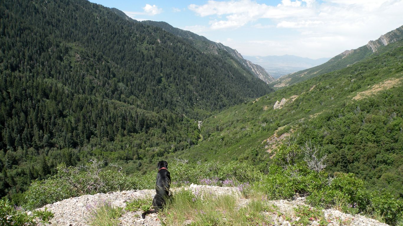 Sen. Lee Narrows Federal Land Sale Proposal