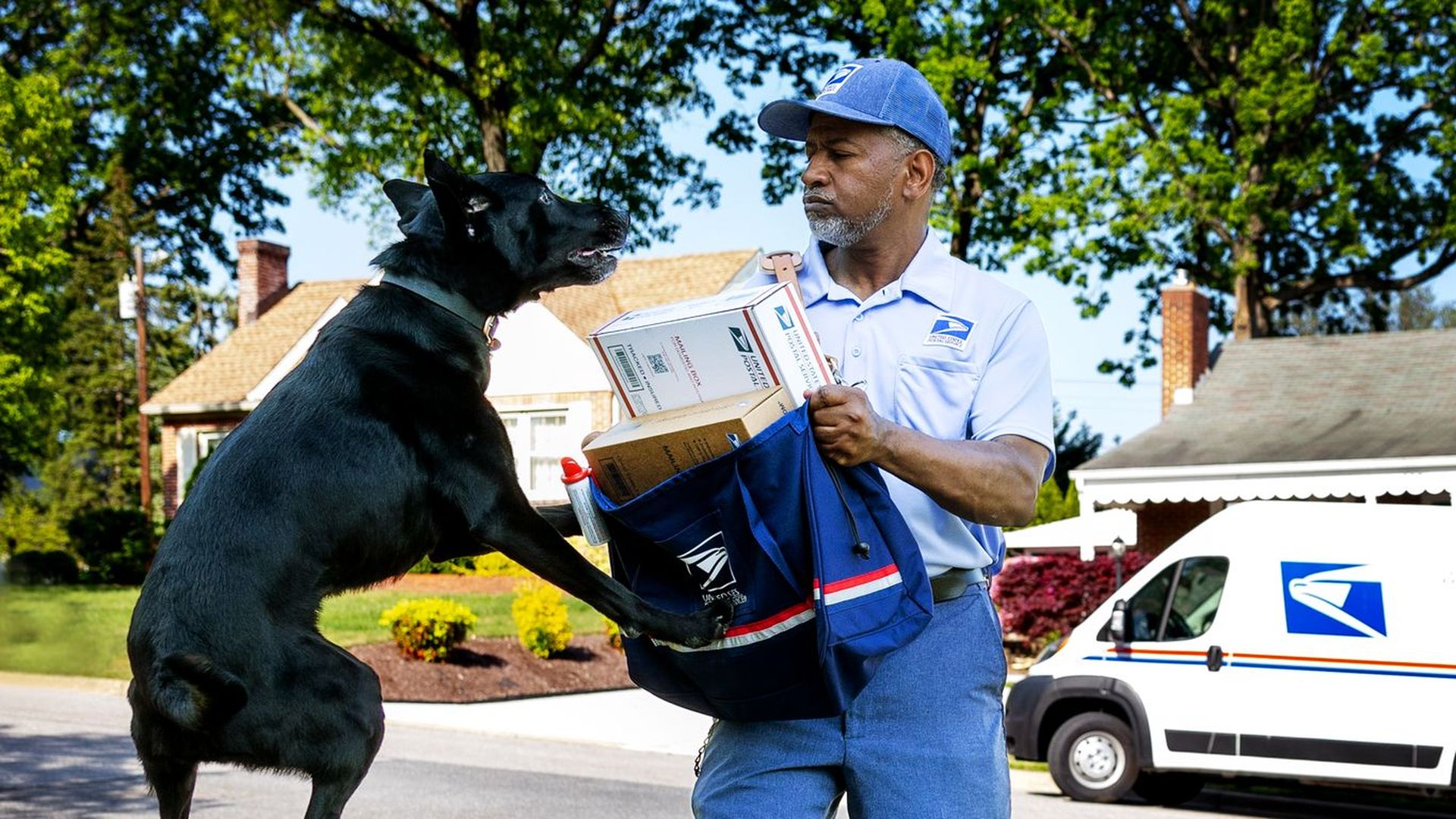 A mail person has a package and a dog is jumped up coming at them. 