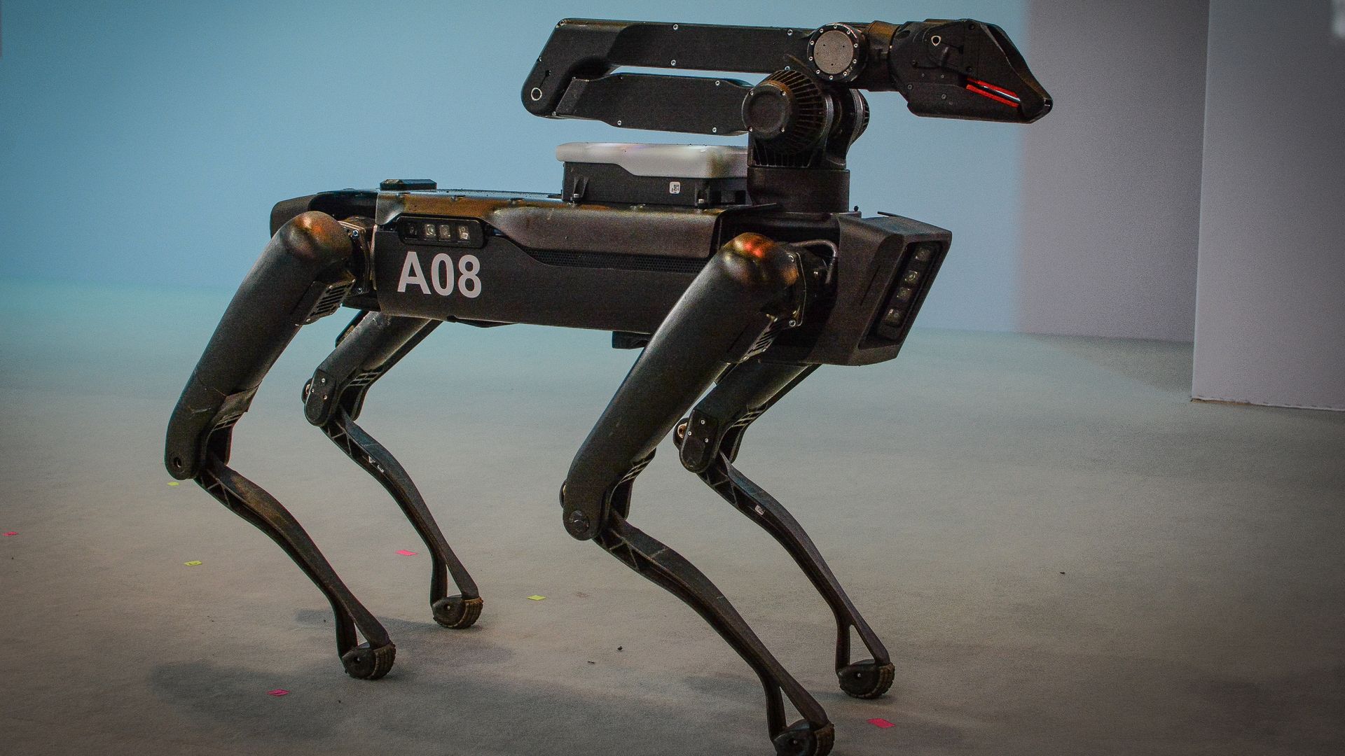 Photo of a four-legged robot