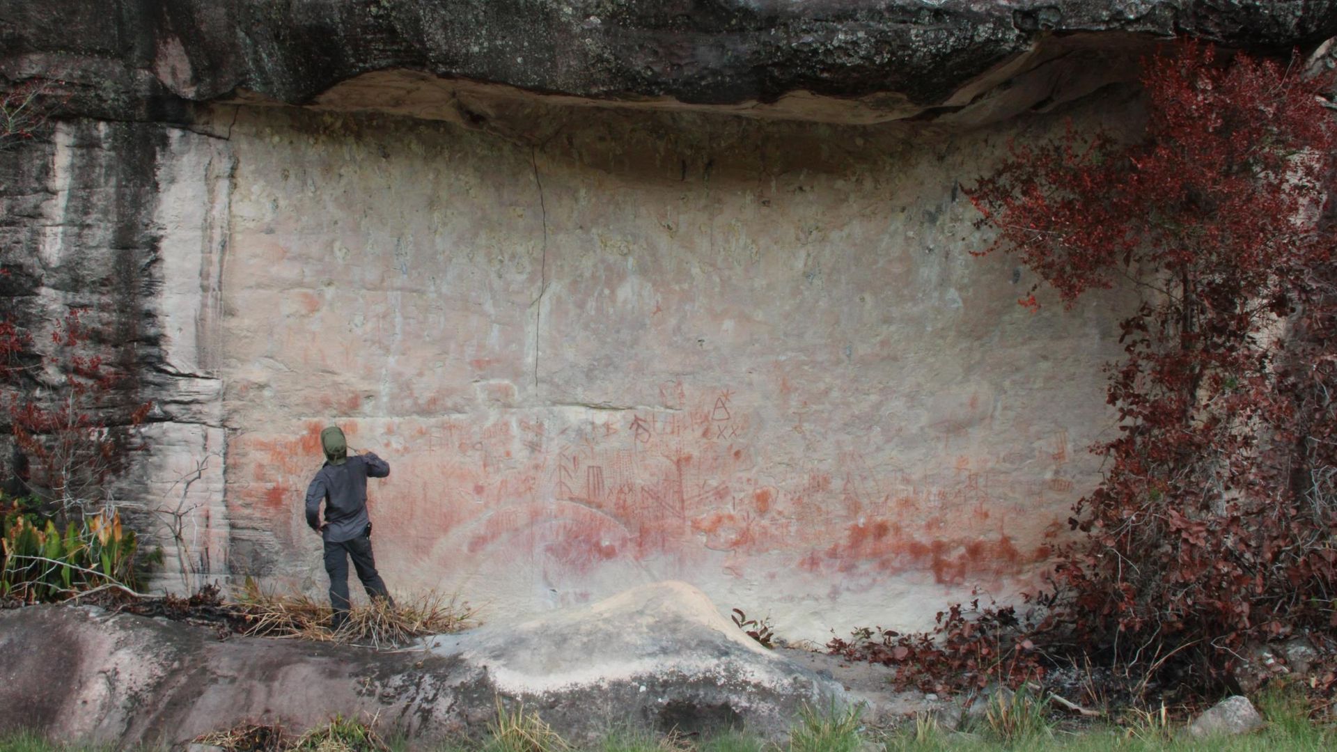 Rock art panel in the Upuigma-tepui table-top mountain area of Canaima National Park, Venezuela. Courtesy of José Miguel Pérez-Gómez/Proyecto Arqueológico Canaima