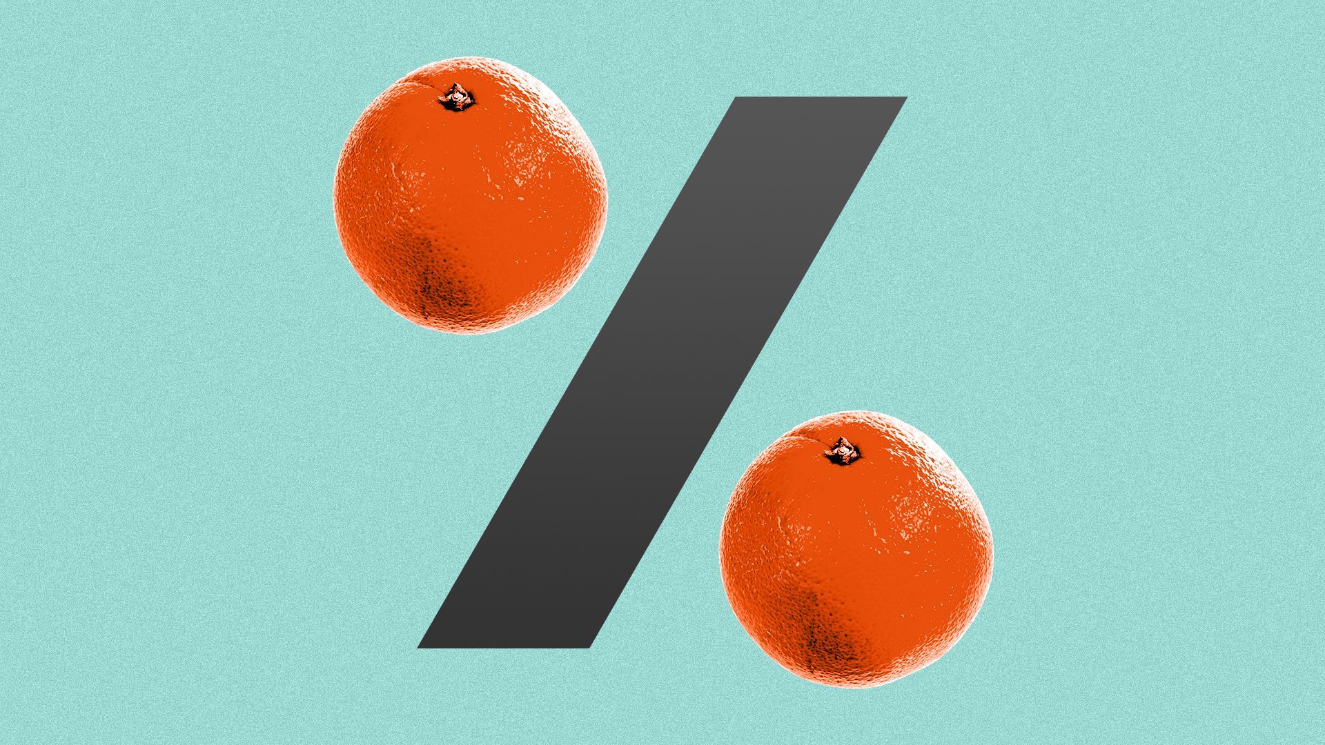 Illustration of a percent sign with oranges instead of circles. 