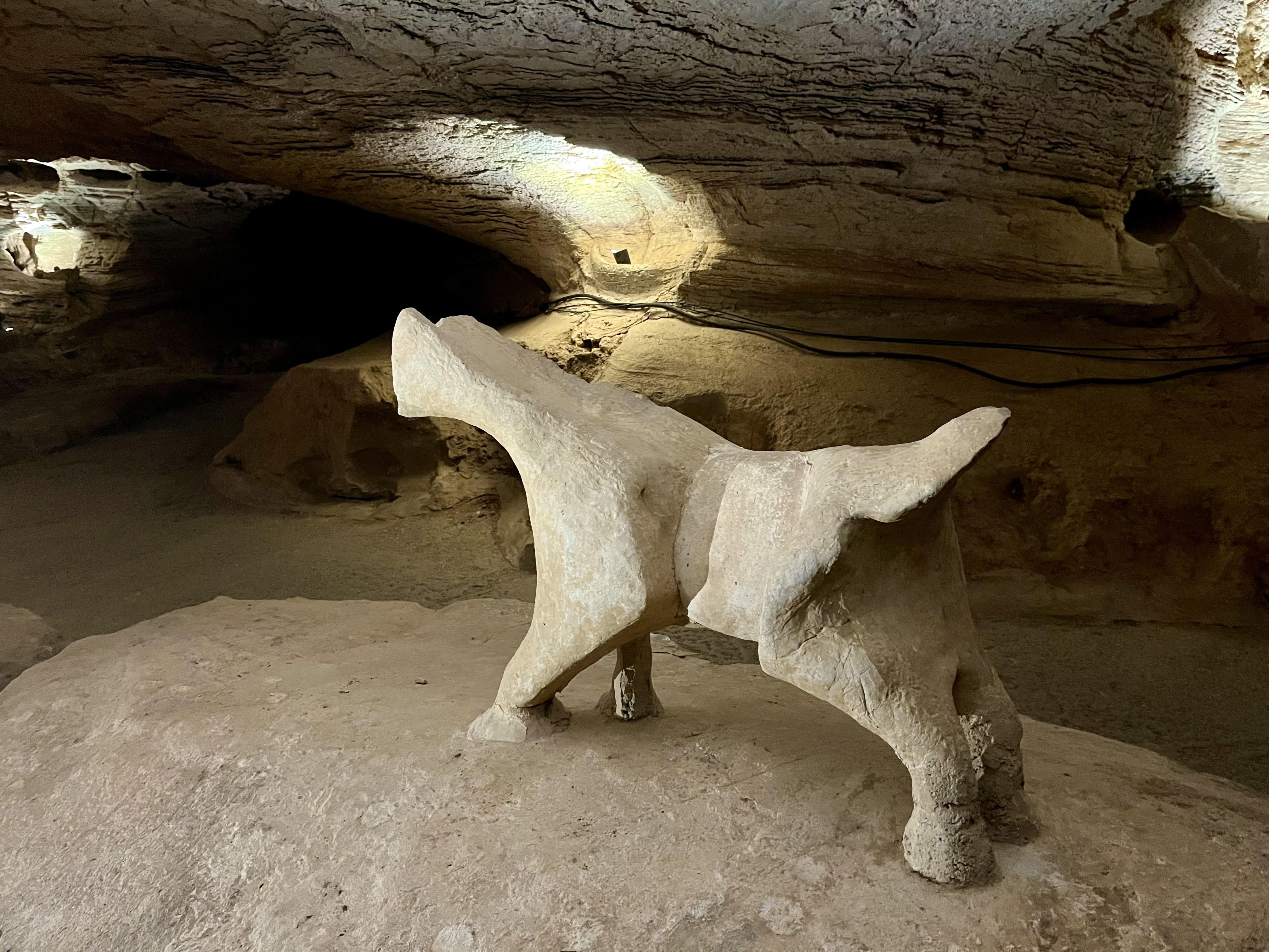 A cave formation shaped like a dog, with smooth rock.