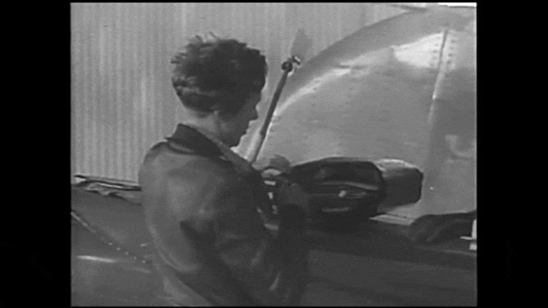 Amelia Earhart and her plane