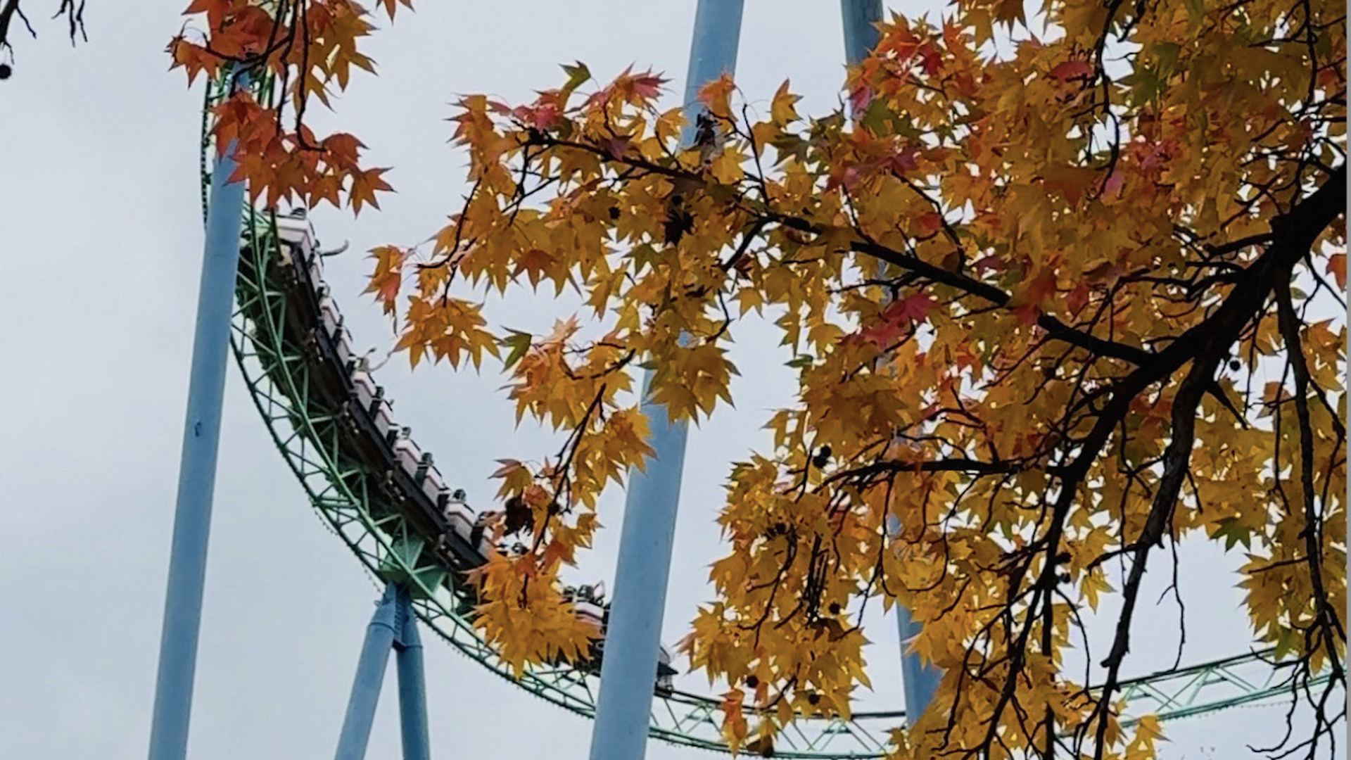 A roller coaster ride behind some fall trees
