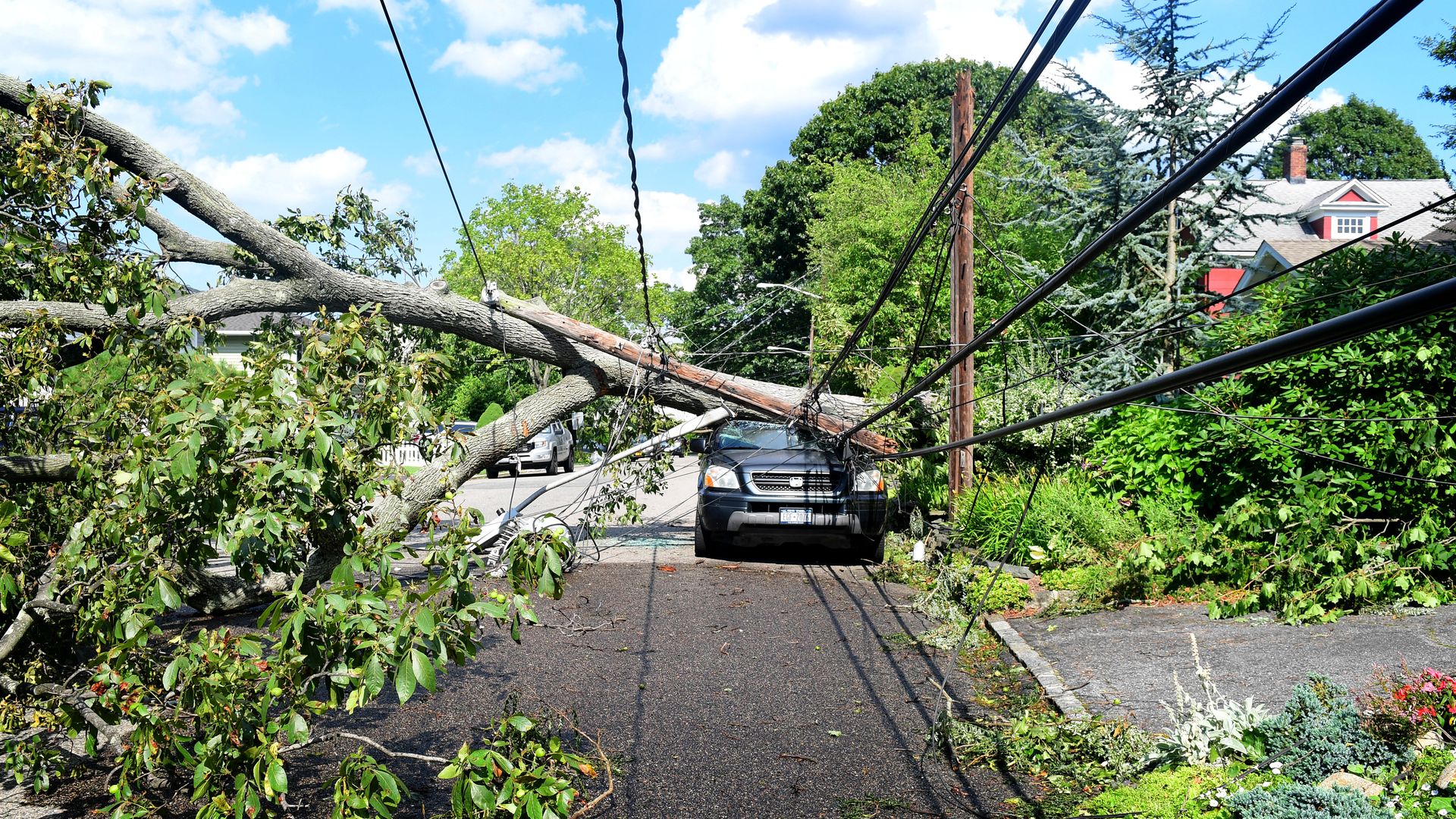 A fallen tree lays across power lines and an SUV.