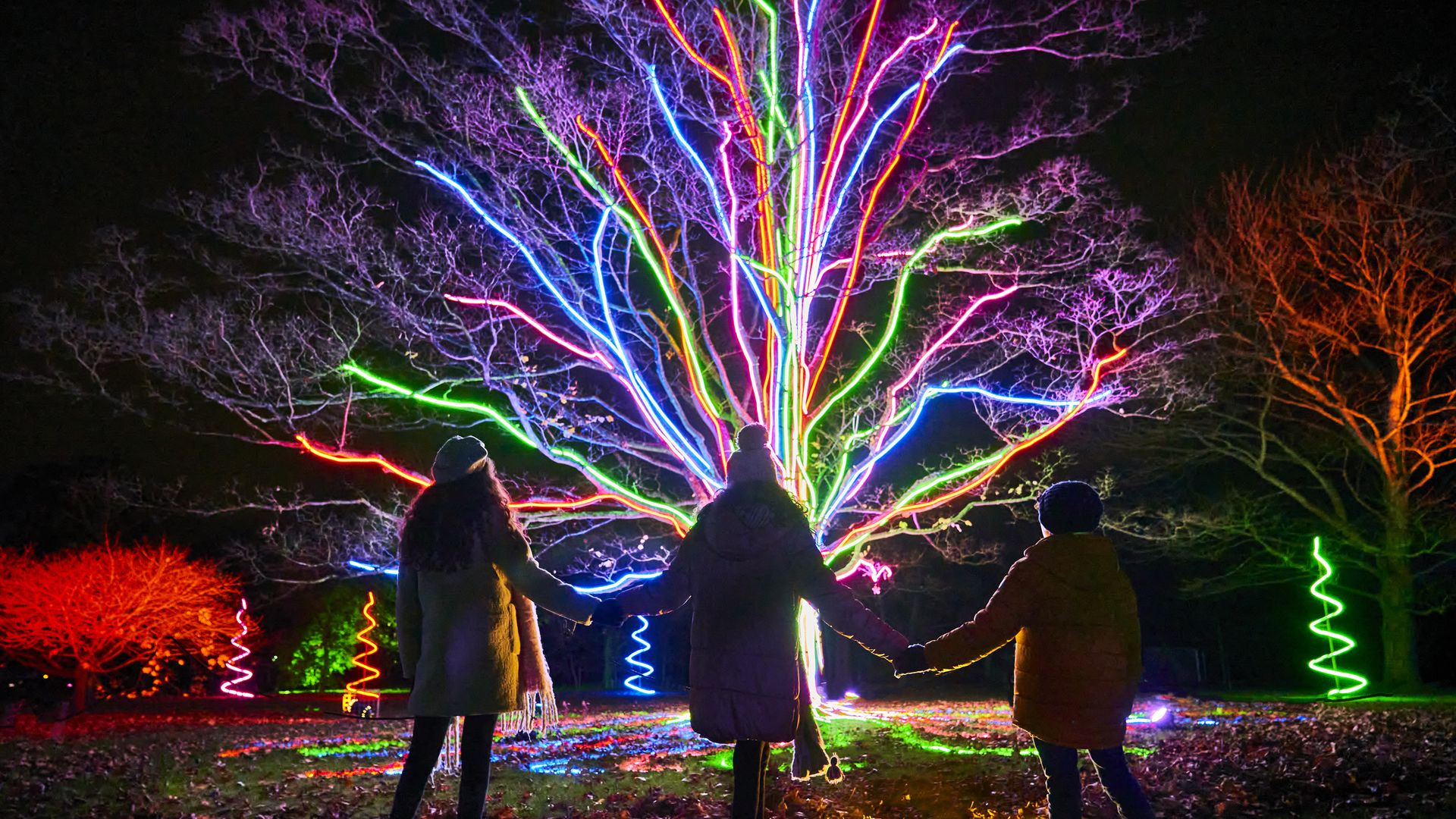 A tree with neon lights wrapped on its limbs shines in front of a silhouette of three people holding hands.
