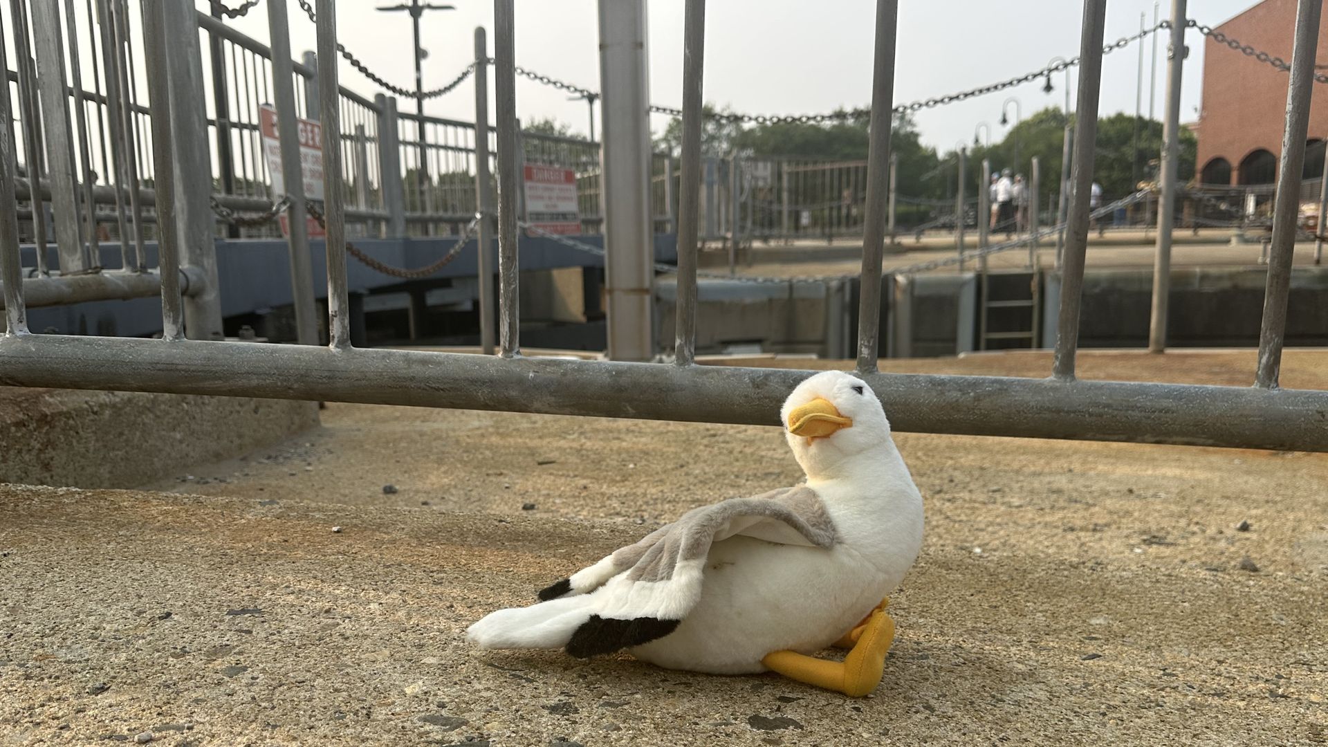 Townie, Axios Boston's plush gullscott, sits on a rough concrete surface near metal railings in an undisclosed location in the Boston area.