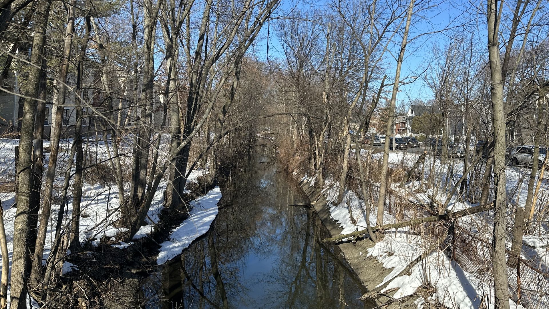 The channel of water in part of the Alewife Brook, near combined sewer outfalls.