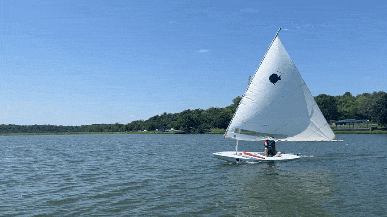 Person sailing a small white sailboat with a large white sail on a lake under a clear blue sky, green trees lining the distant shore.
