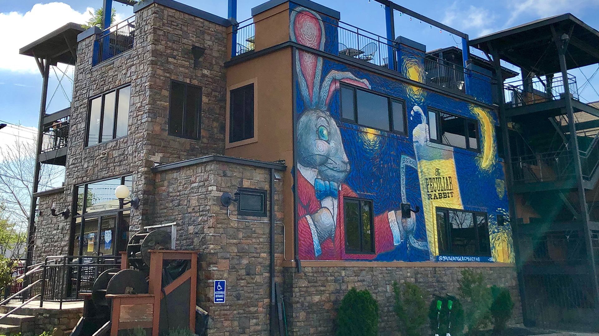 peculiar rabbit Plaza Midwood