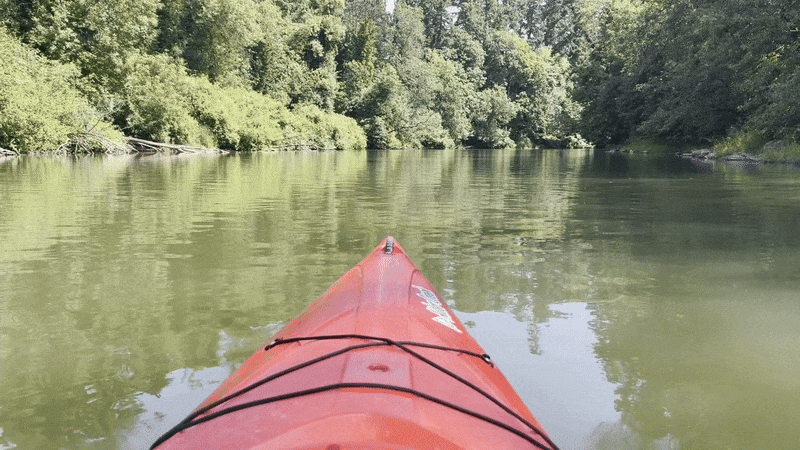 An animated GIF shows the calm waters of a placid river as seen from the point of view of someone in a kayak.
