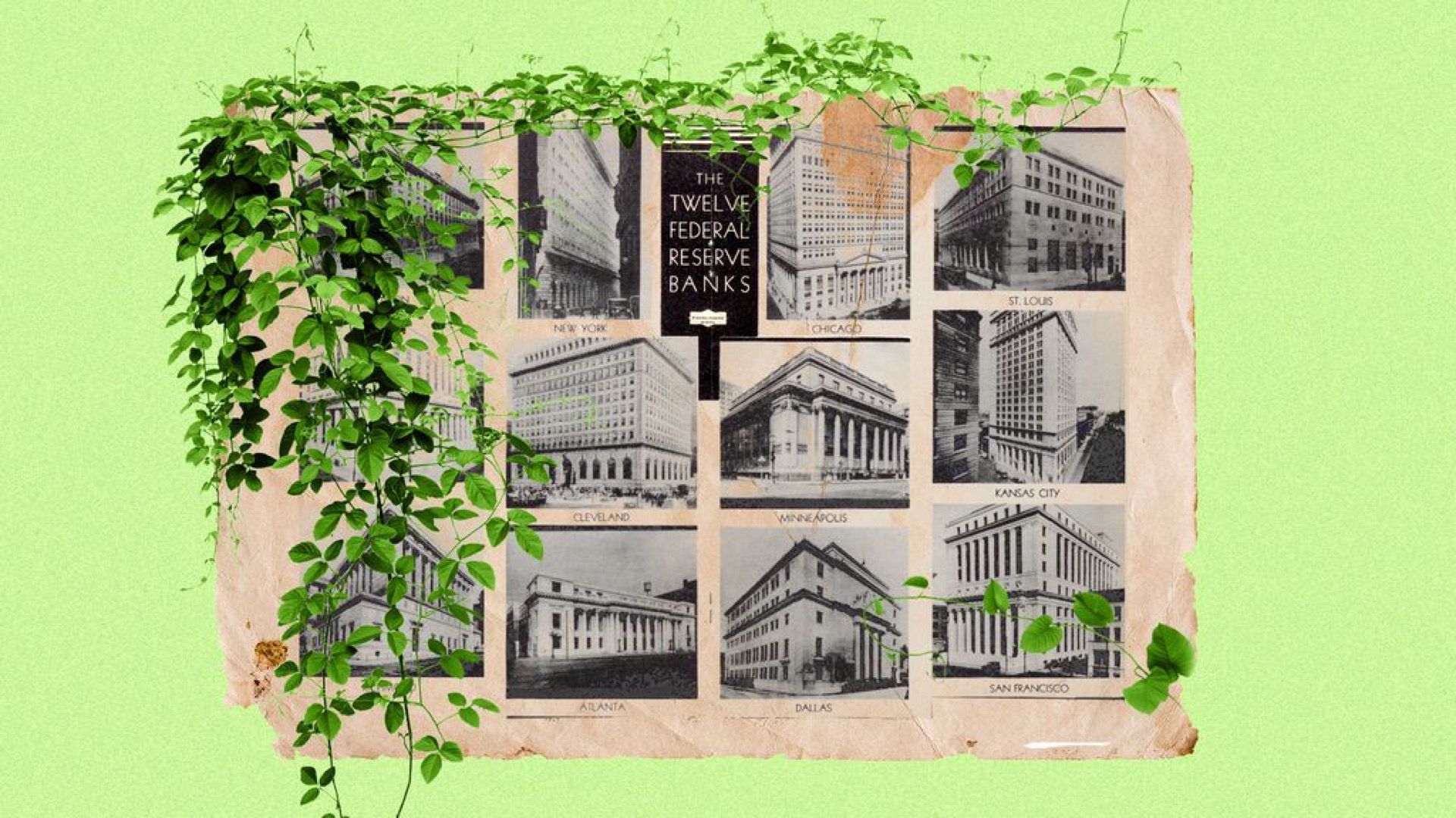 Illustration of a collage of the twelve Federal Reserve Banks and ivy.