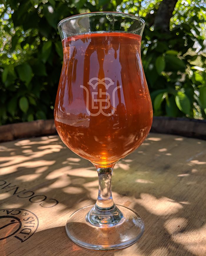 wild-blossom-sycamore-brewing-cider-charlotte