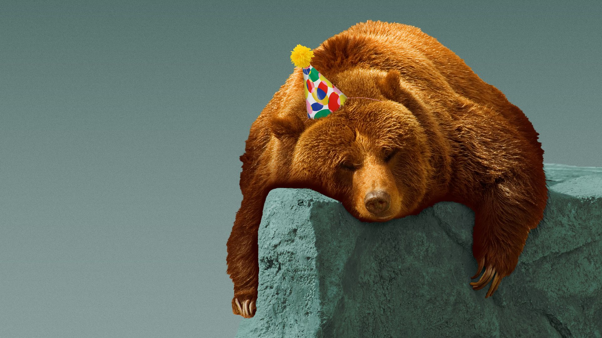 Illustration of a sleeping bear on a rock, wearing a party hat slightly askew. 
