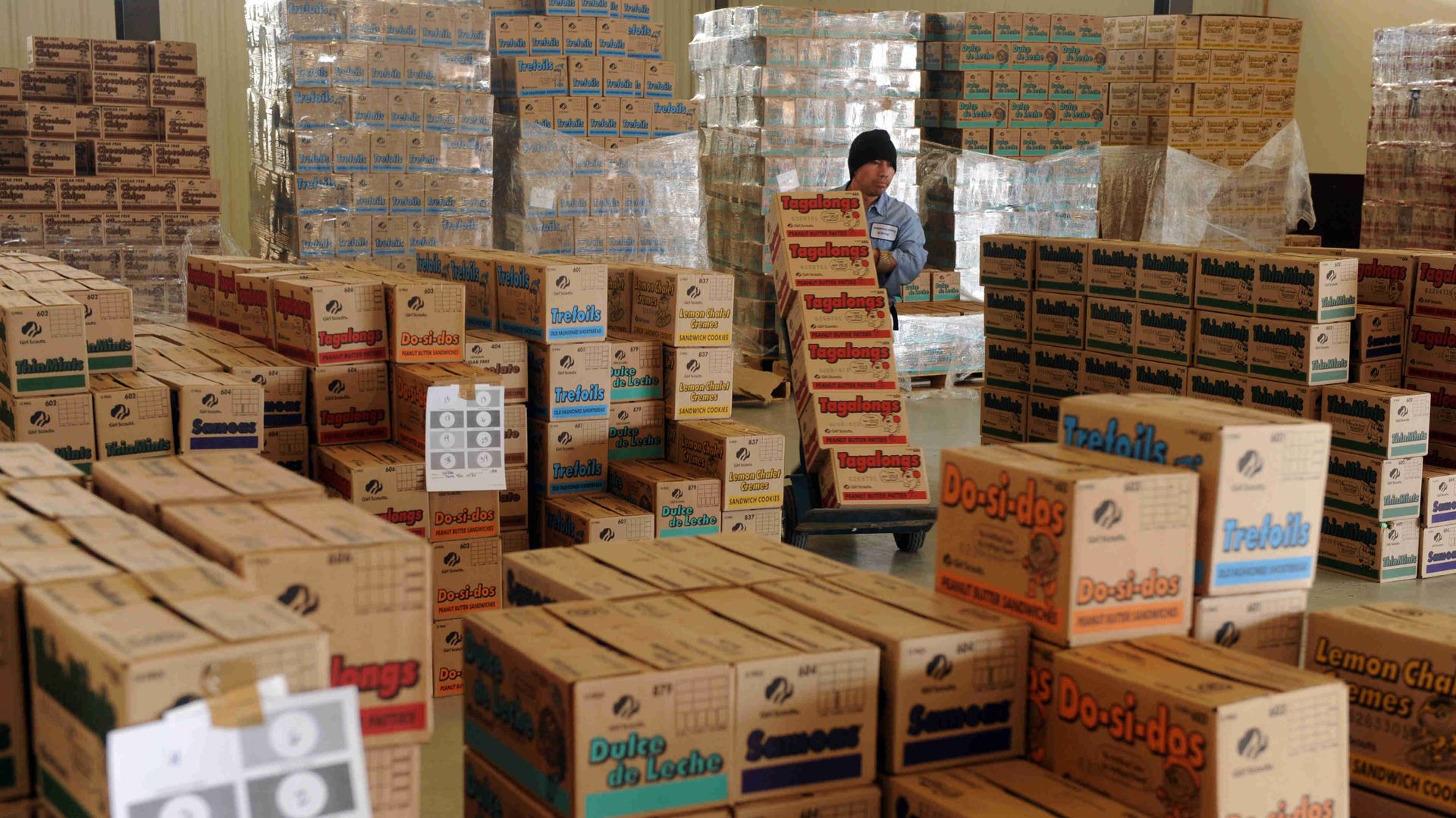 a warehouse full of girl scout cookie boxes 