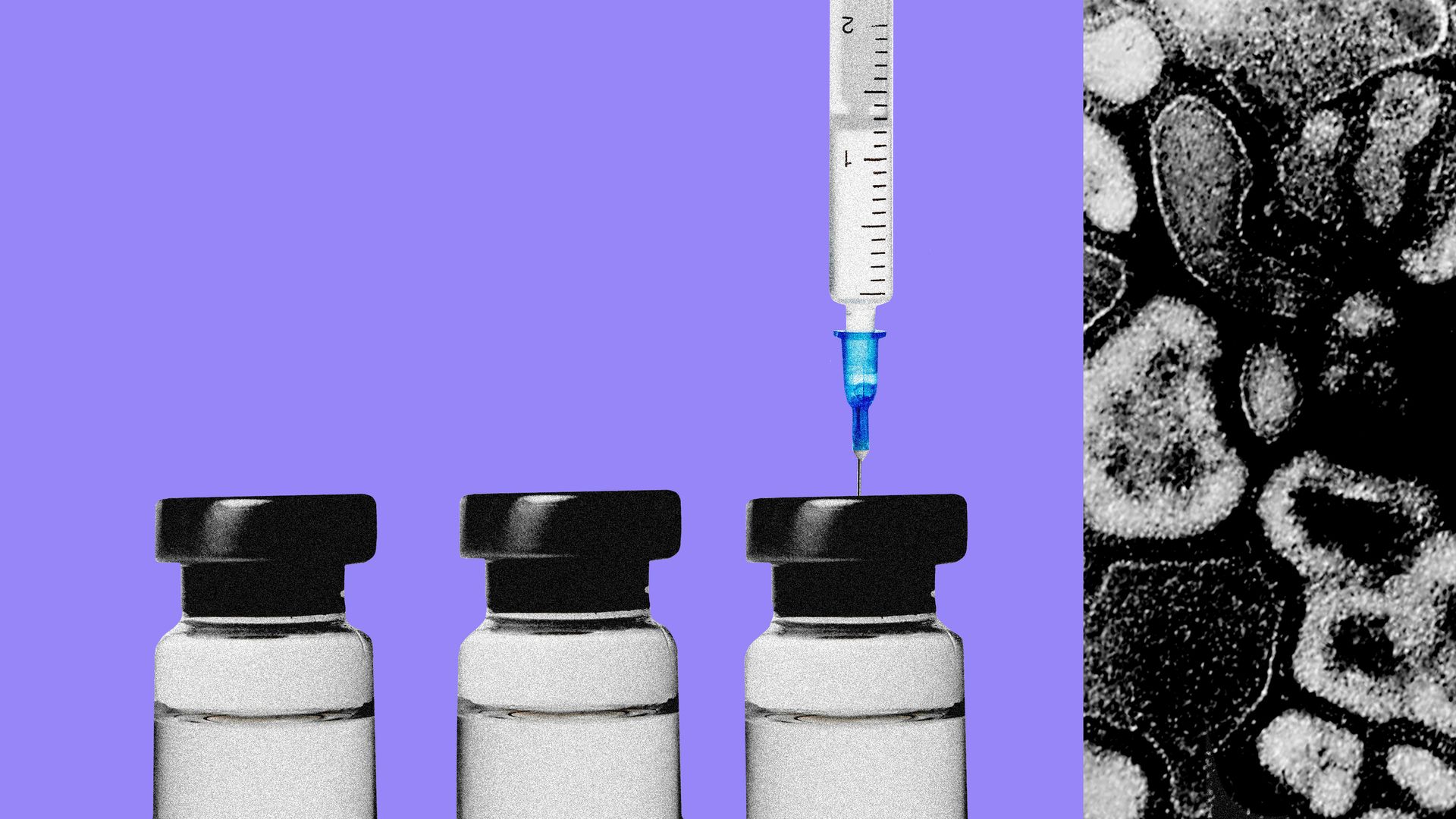 Illustration of purple background (referring to flu) with needle entering medicine bottle next to flu cells