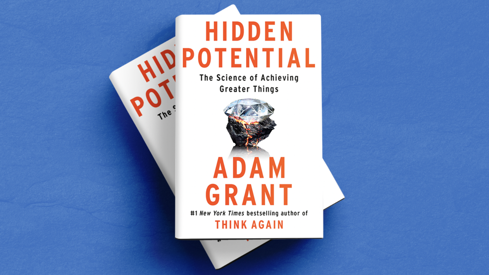 Hidden Potential by Adam Grant review: the science of success