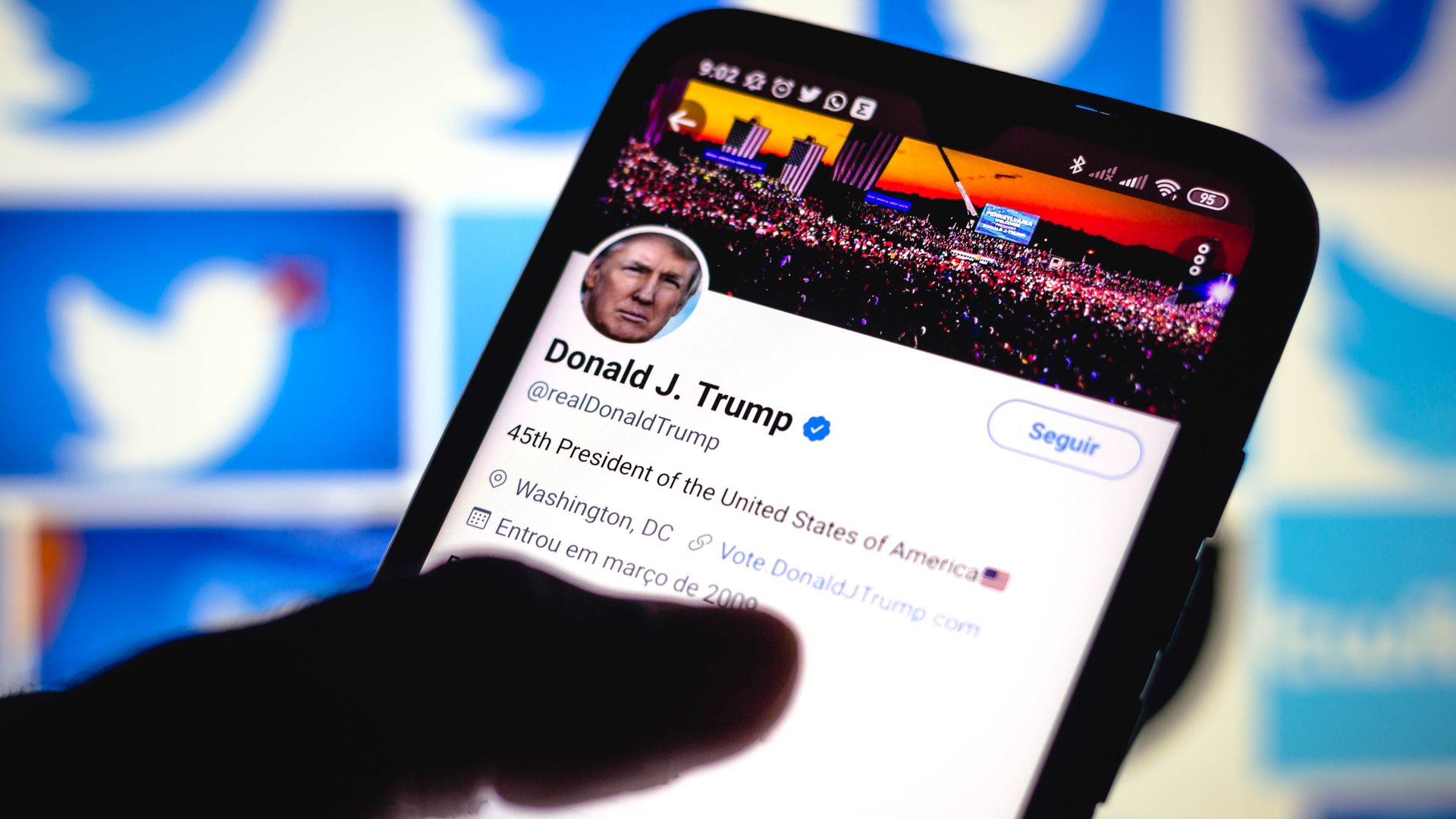 Photo of a person's hand holding a phone with Donald Trump's Twitter account on the screen
