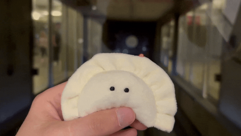 A stuffed pierogi named Nebby is traveing in a moving object underground