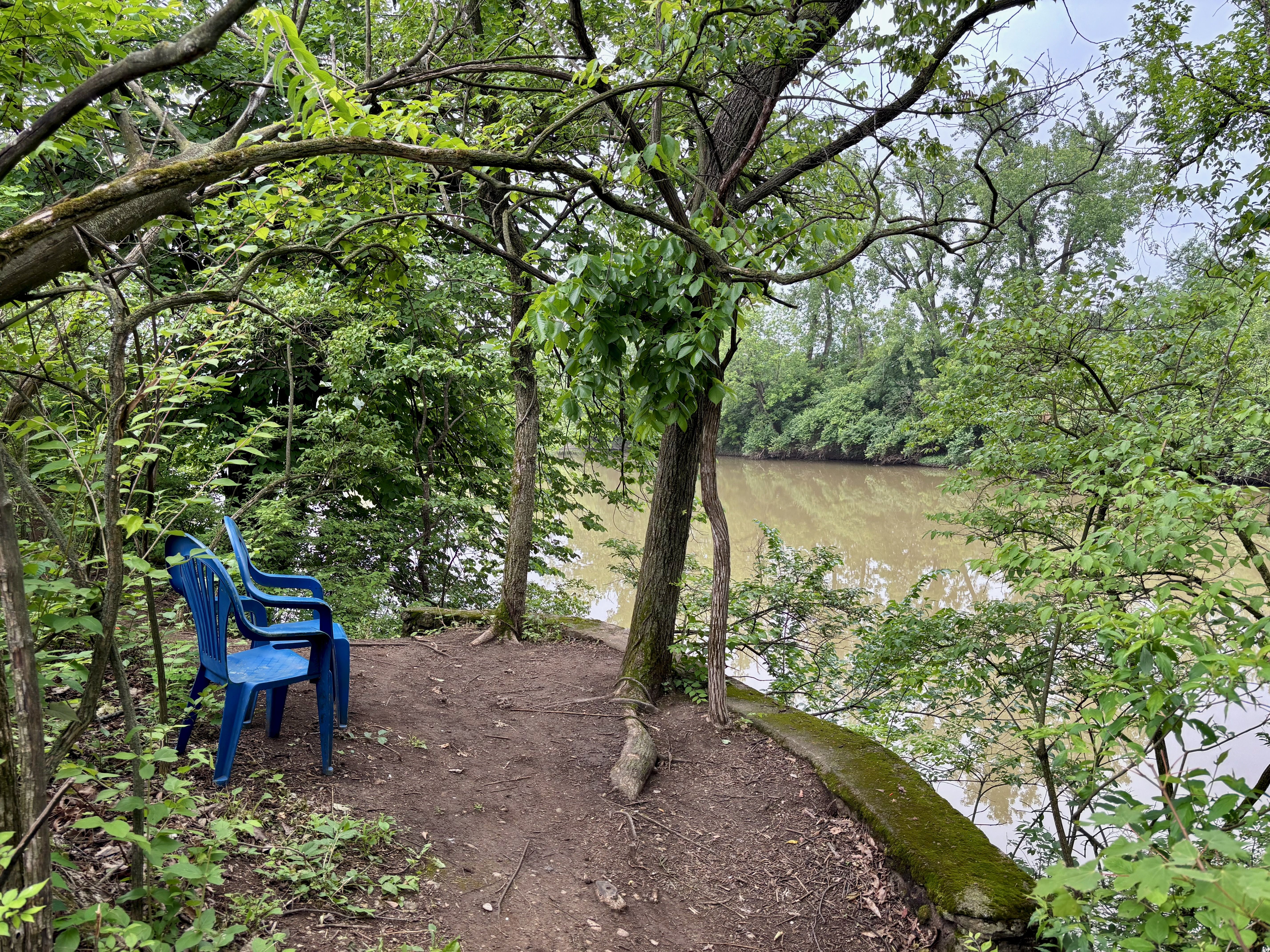 Two blue plastic chairs on the edge of the Scioto River's bank, facing the eagle nest across the water