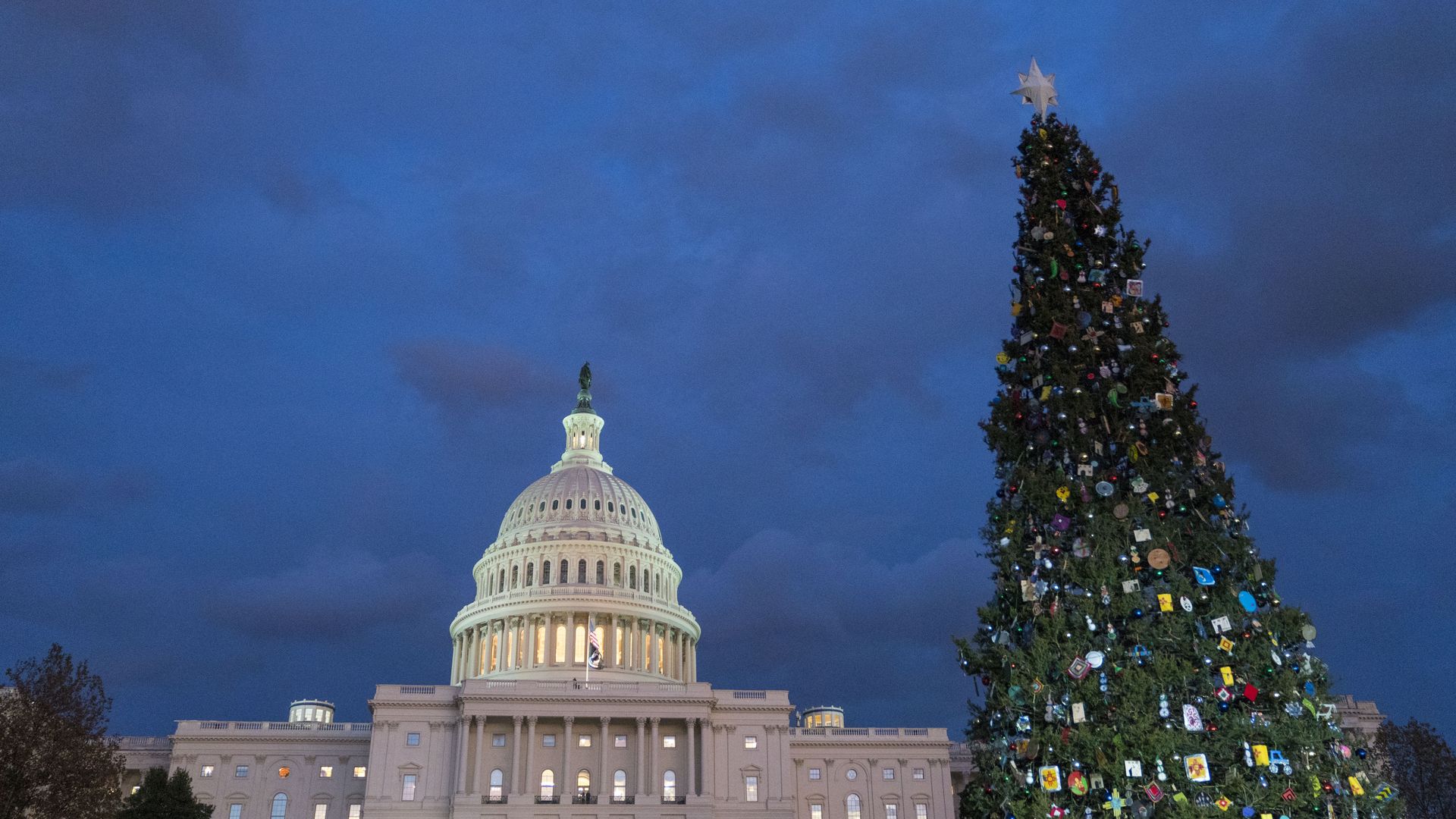 The U.S. Capitol at dusk with the national Christmas tree in the forefront.