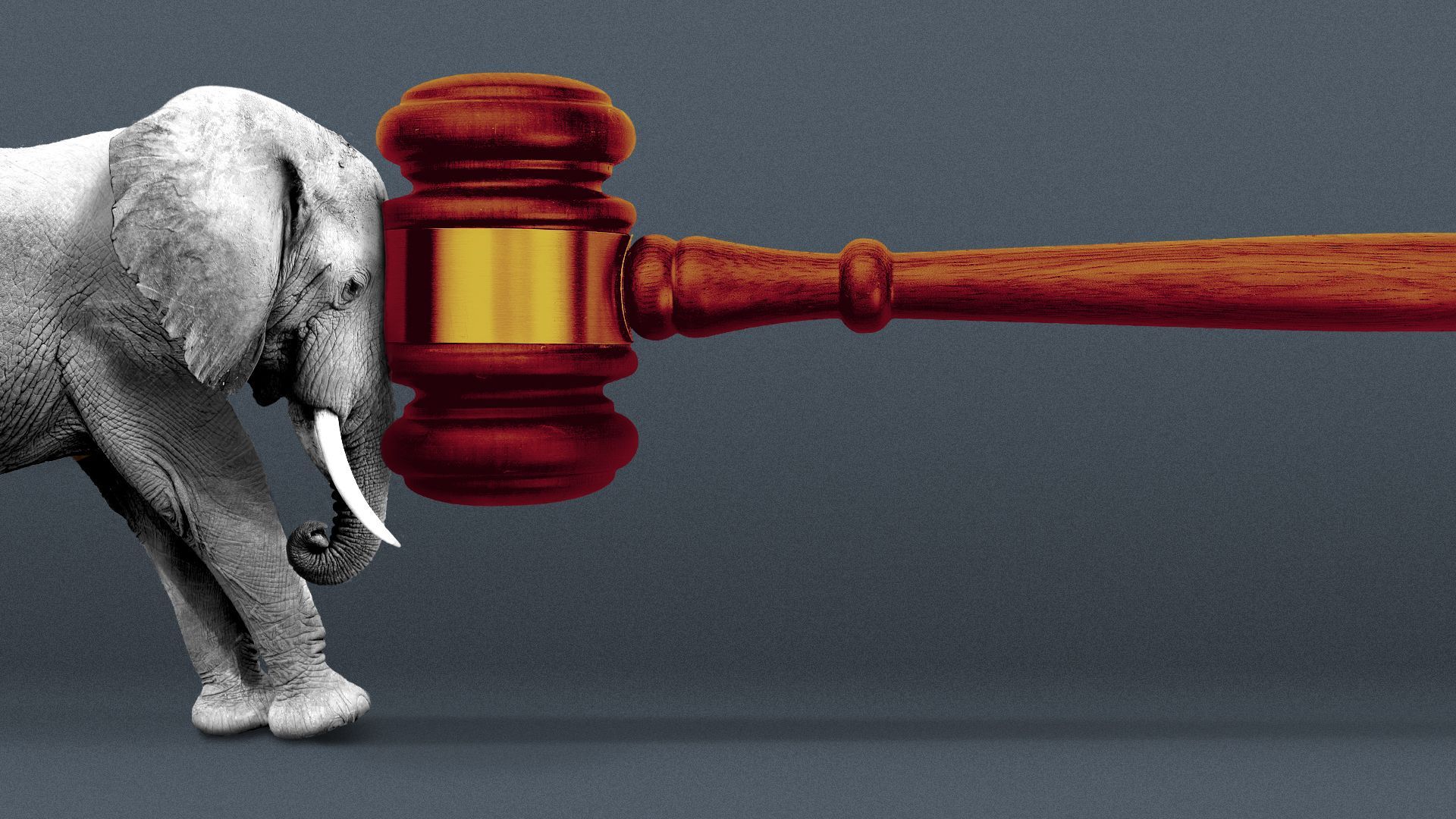 Illustration of a gavel pushing an elephant out of the frame.