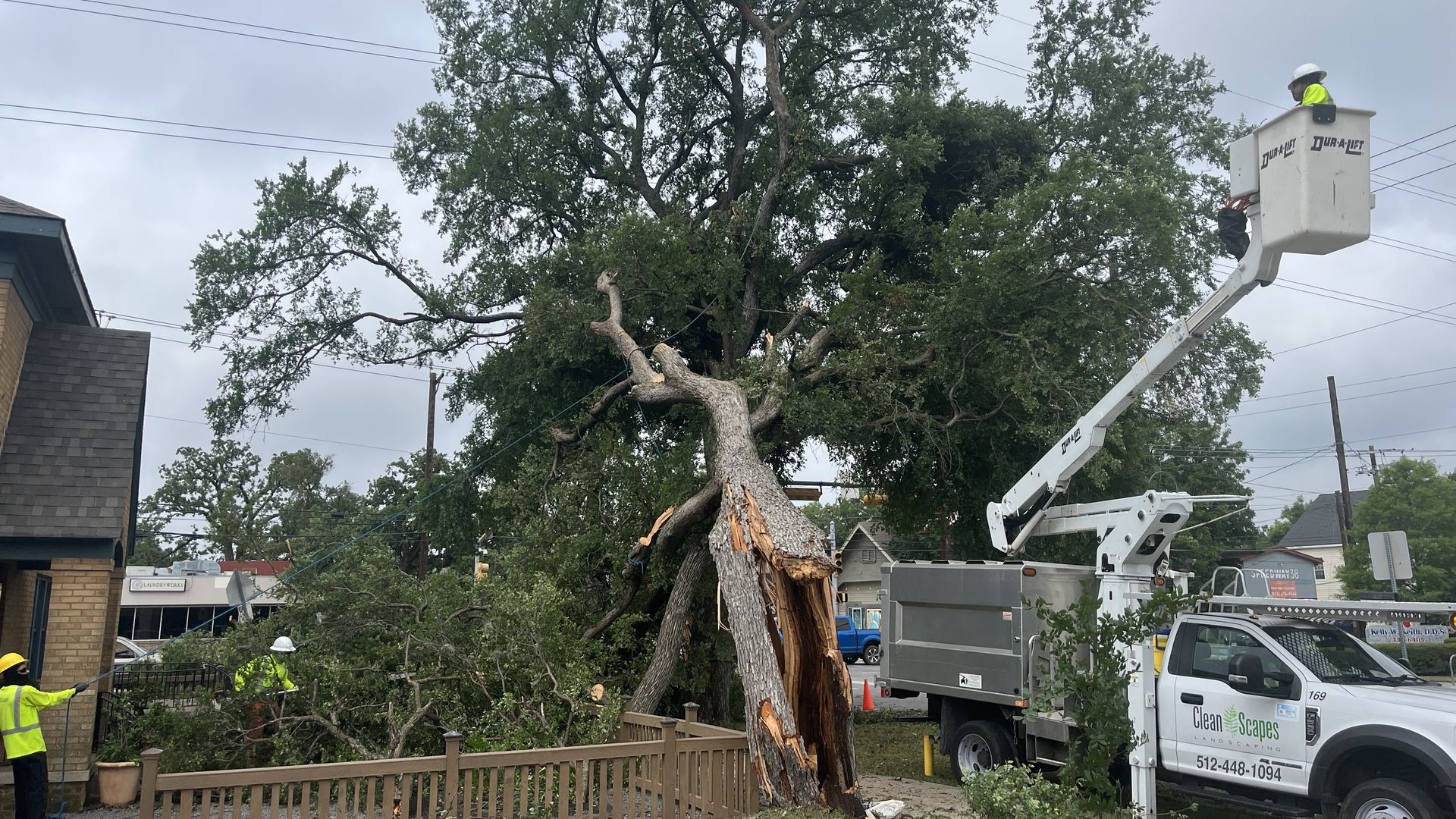 A photo of a downed tree
