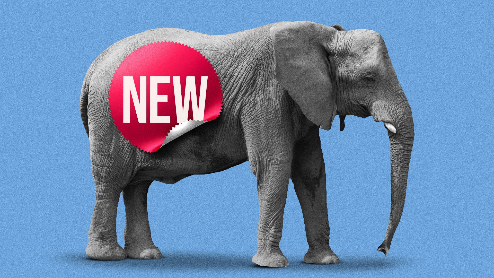Illustration of an elephant with a red "new" sticker.