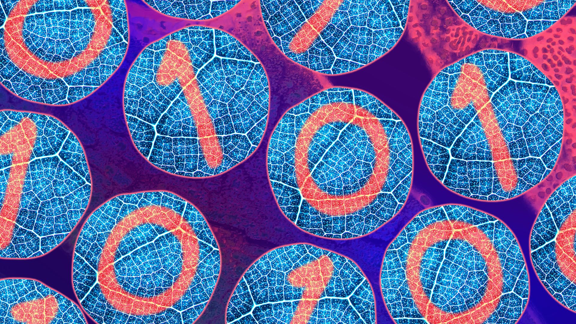 axios.com - Ina Fried - A new 'digital organism' could speed up AI biology