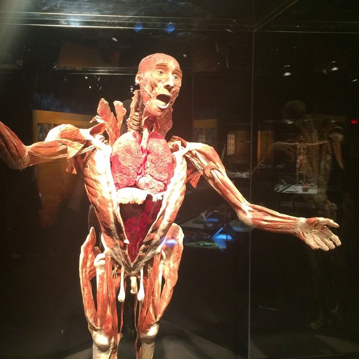 Body Worlds Charlotte
