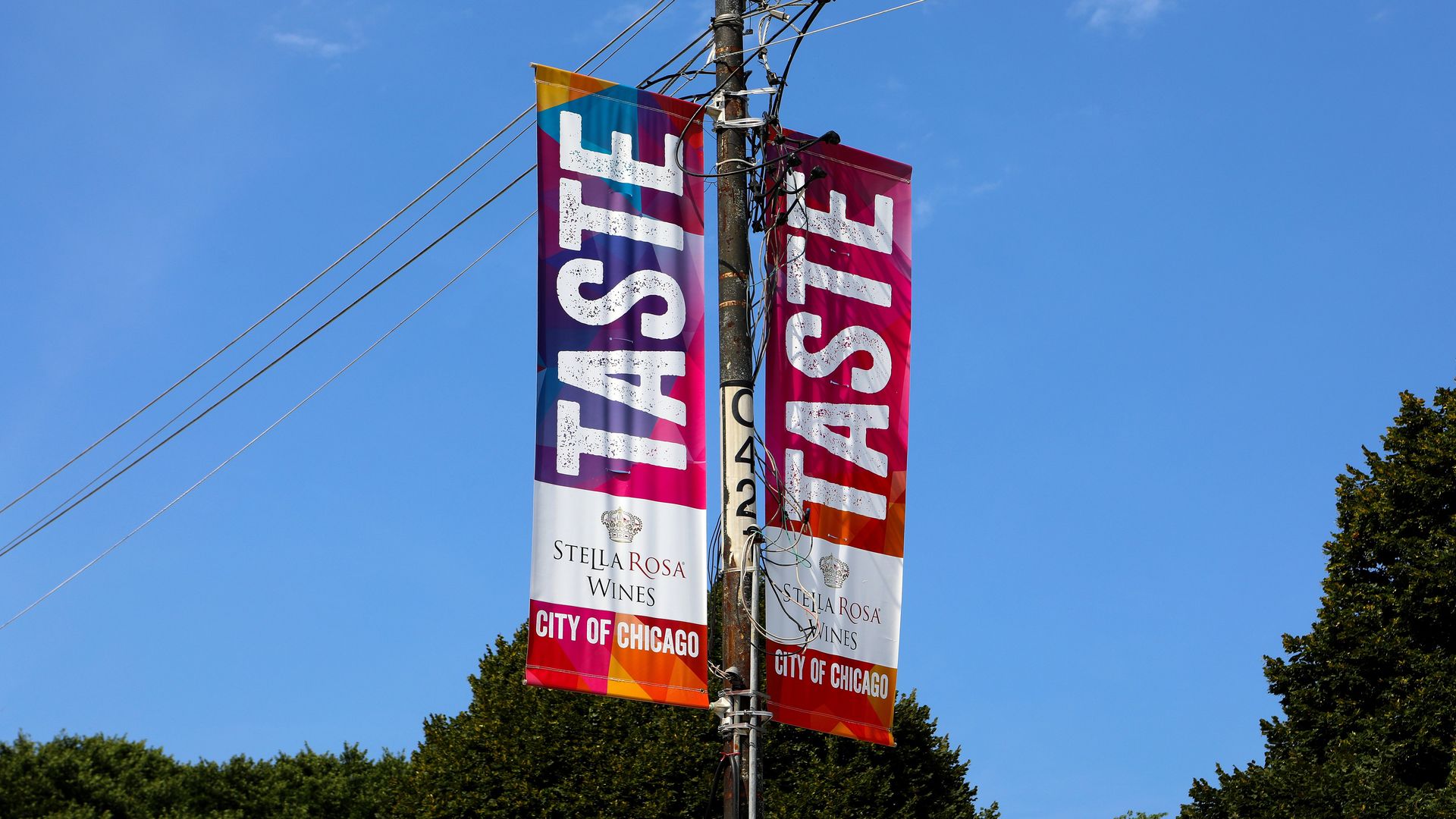 Photo of flags flying that say Taste. 