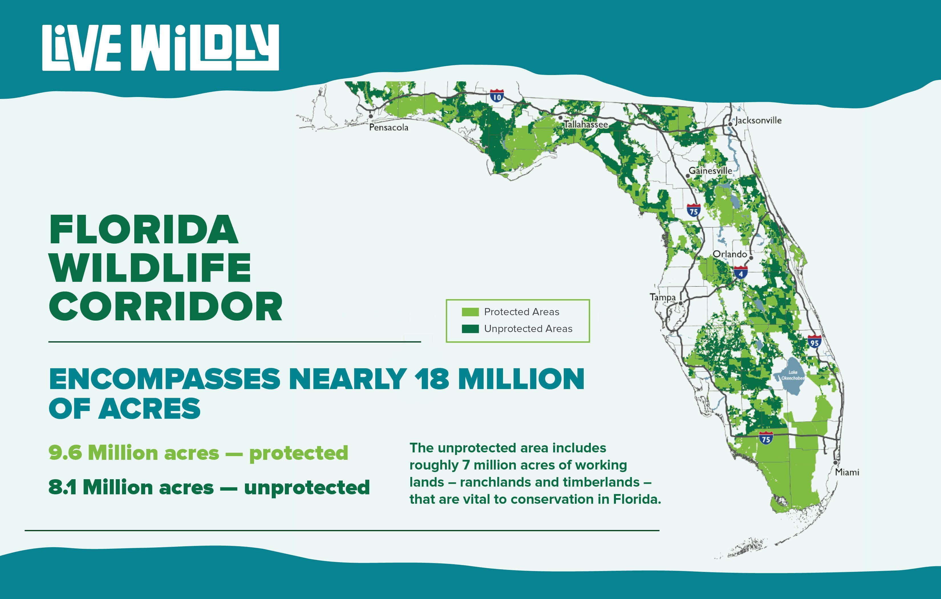 An ad campaign from Live Wildly with statistics about the Florida Wildlife Corridor.