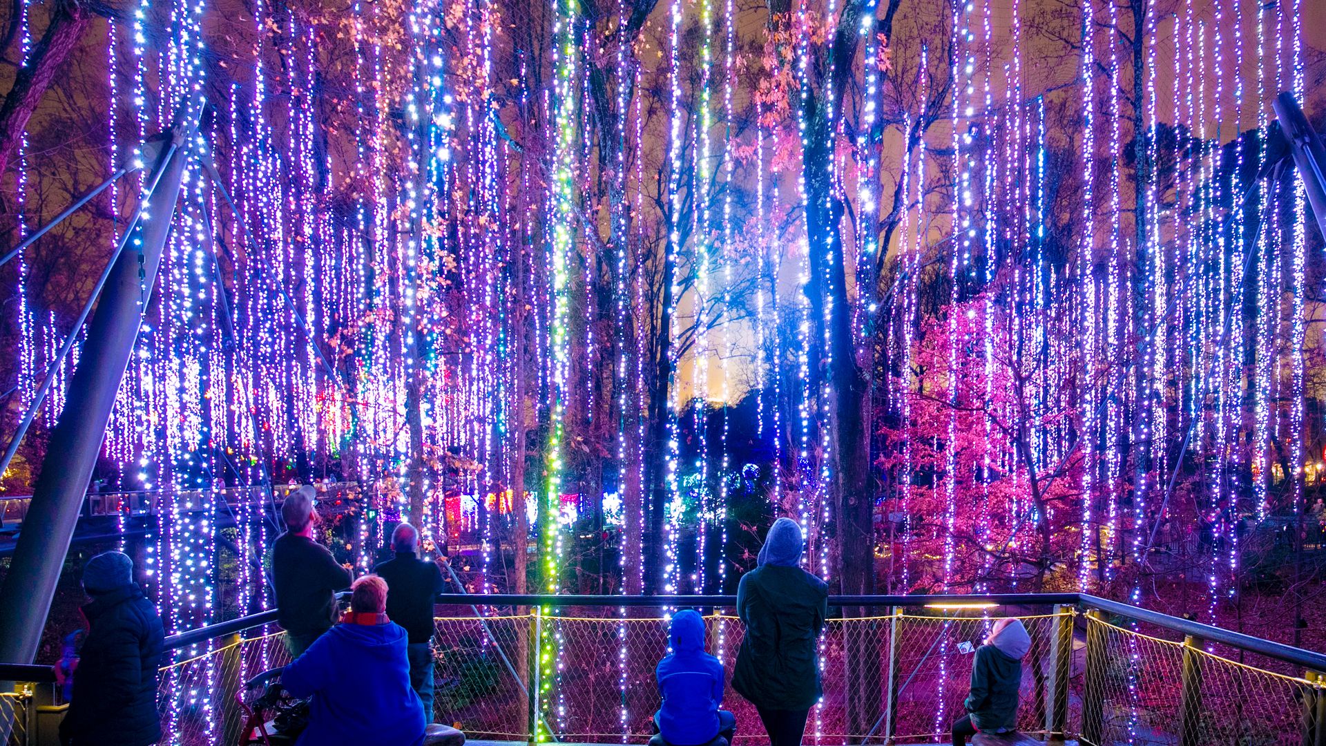holiday lights at atlanta botanical garden