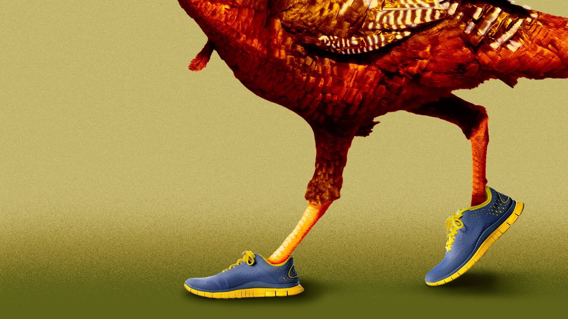 Illustration of a the bottom half of a turkey in running shoes