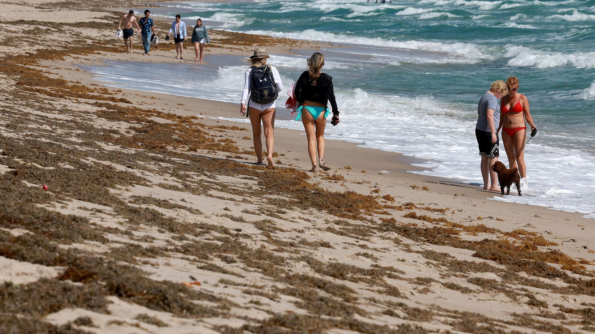 people walking along a beach covered in seaweed