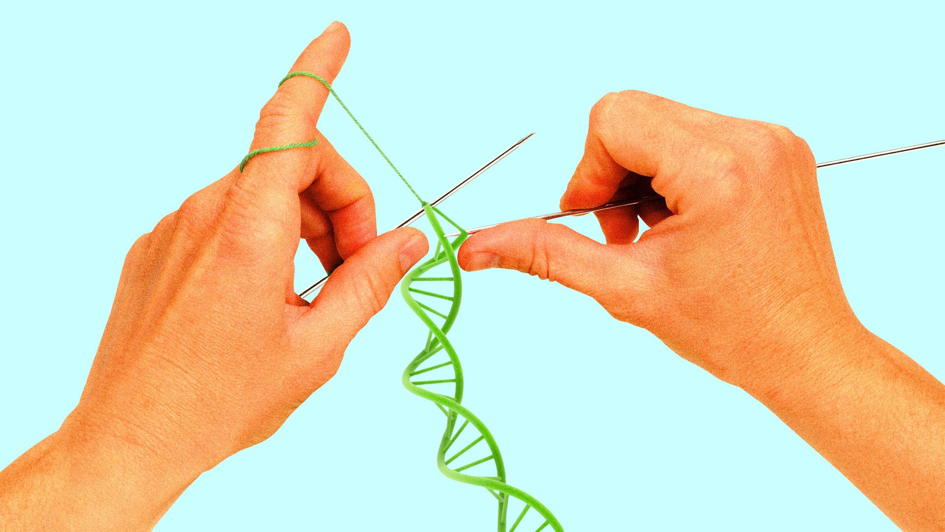 Illustration of two hands knitting a DNA helix.