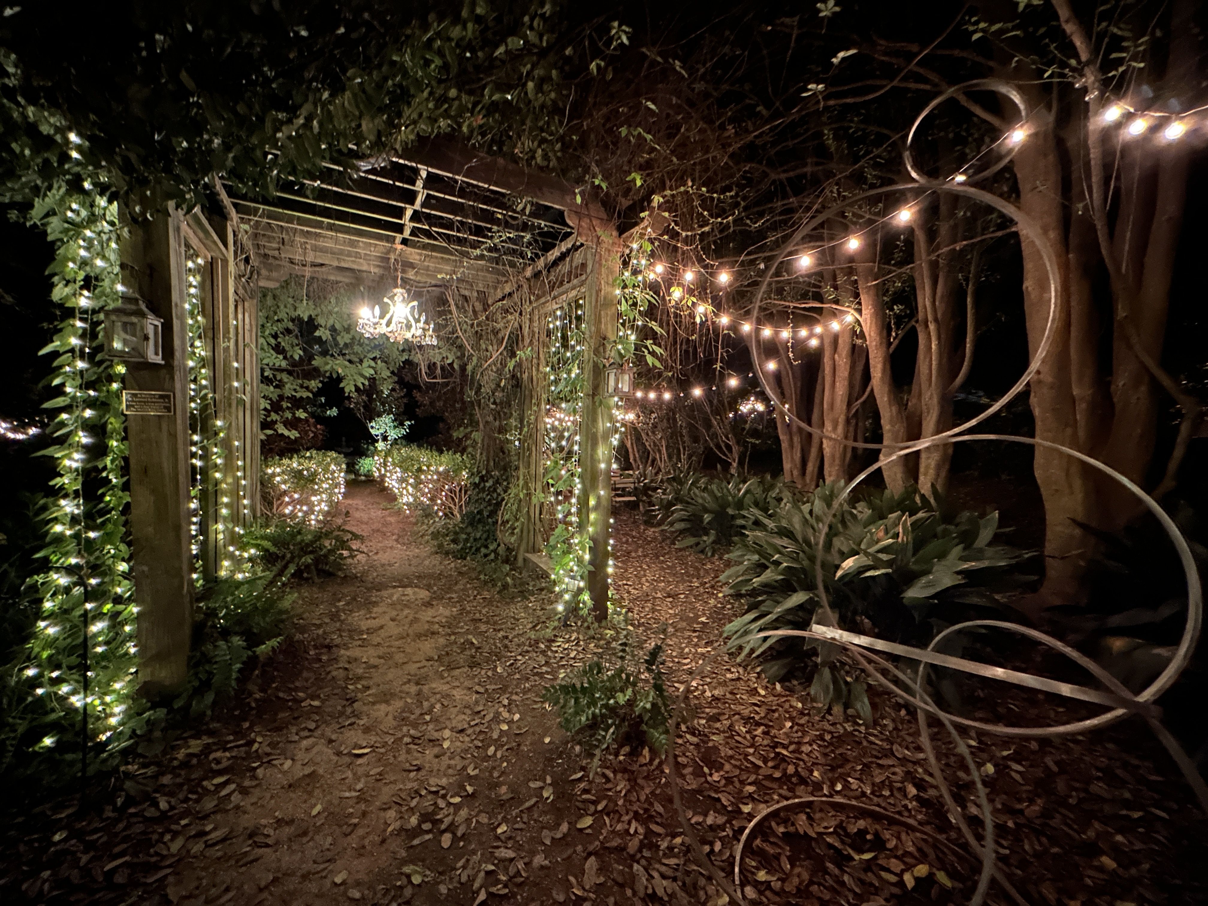 cool wine bars in charlotte