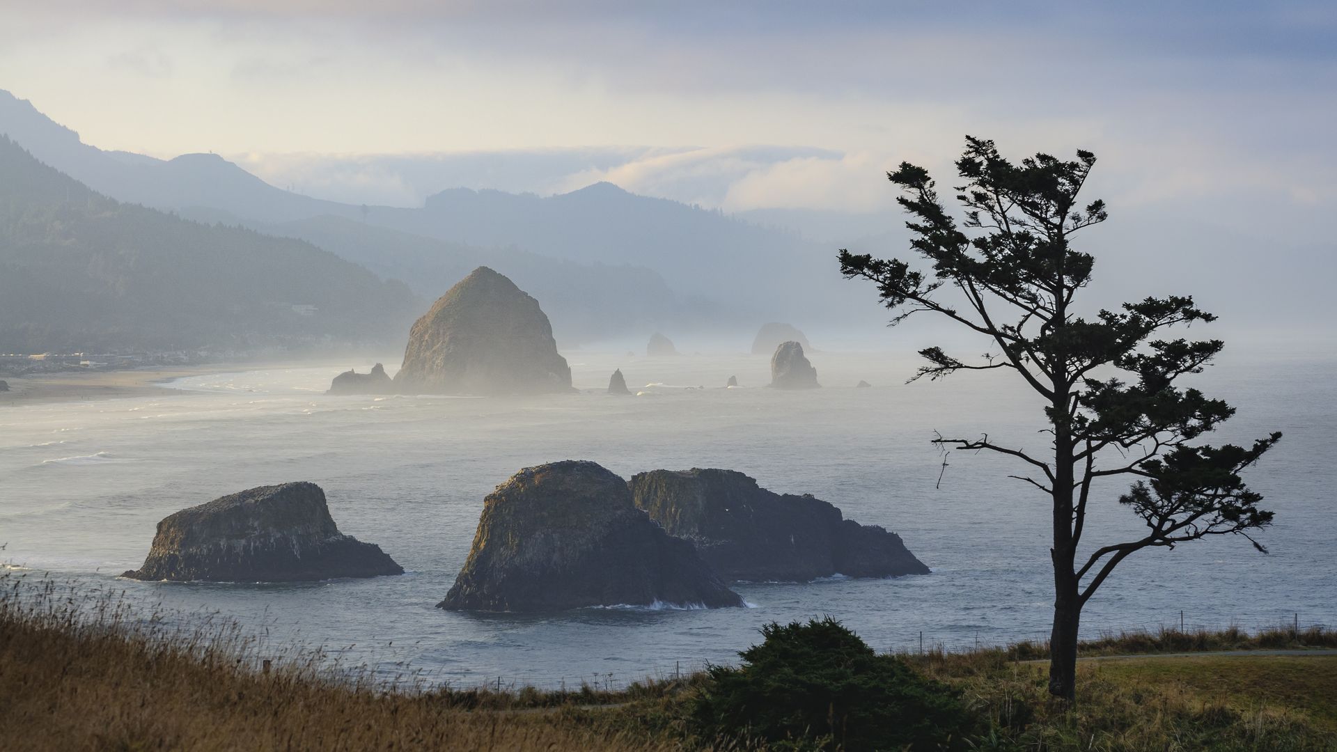 A photo of rocks emerging from an ocean with rolling hills of evergreen trees in the background.
