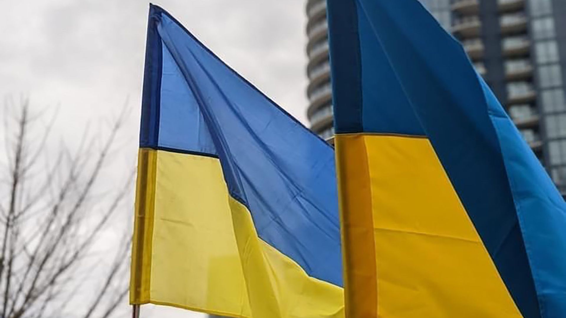 Ukrainian flags at rally February 2022