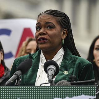 AIPAC's next big 2026 target: A Democrat it already ousted from Congress last cycle