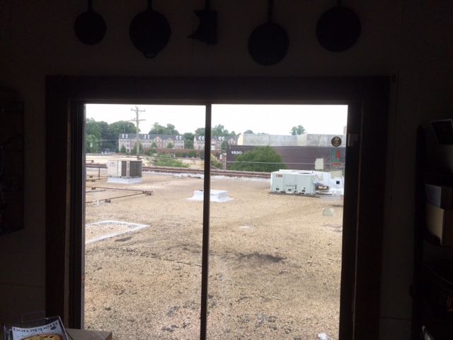 rooftop deck plaid penguin