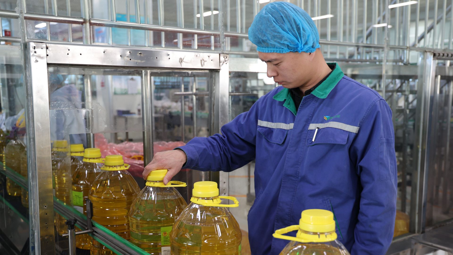 Man in a blue uniform and blue hair cap fills bottles of oil on a factory line. 