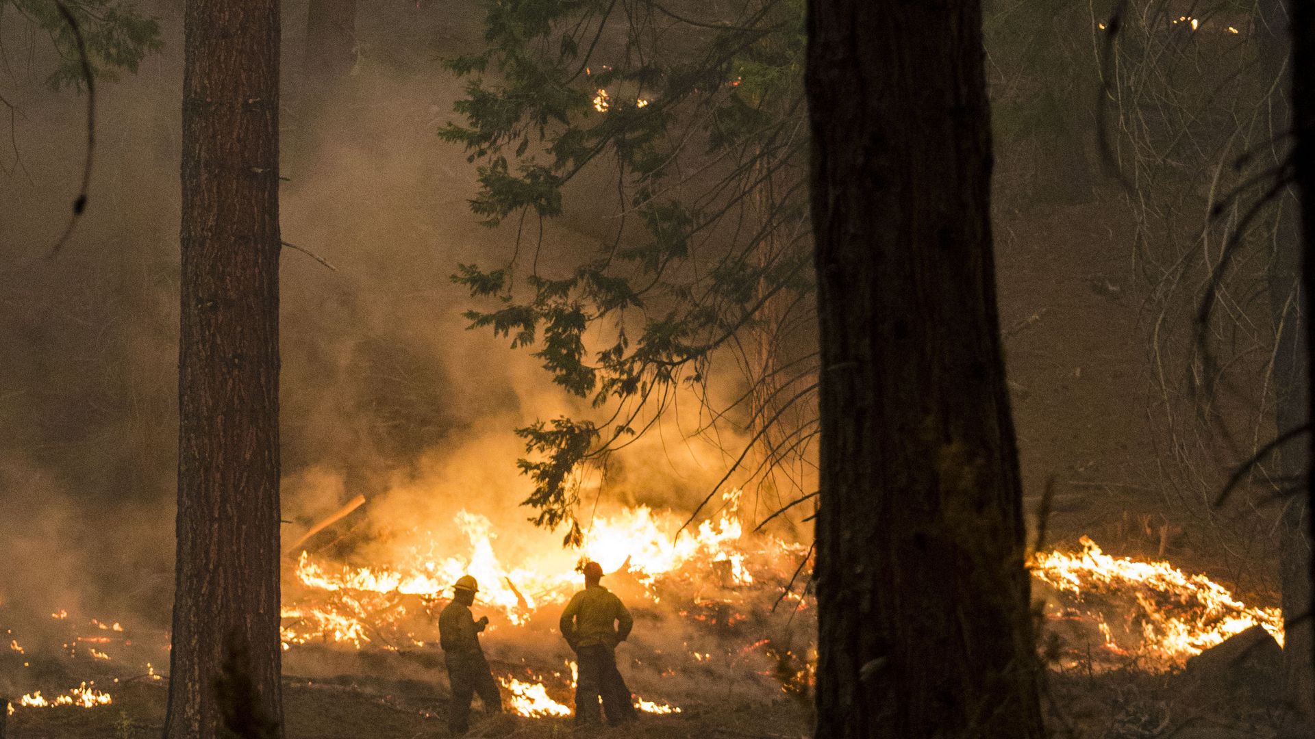 Fire crews watch a section of the Caldor fire after putting in a hand line to stop growth on Aug. 27